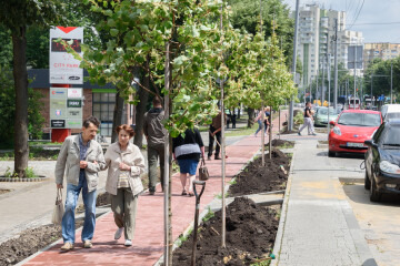 Тривають роботи з реконструкції проспекту Волі