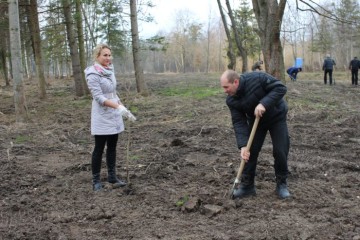 Посадка дерев у центральному парку культури та відпочинку ім. Лесі Українки