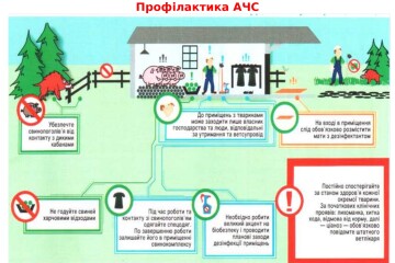 Стихійна торгівля – загроза життю і здоров’ю!