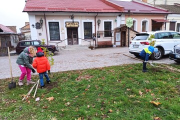 Триває осінній етап озеленення  луцької міської територіальної громади 2024