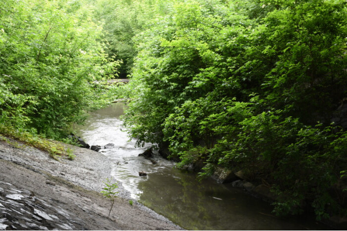 In Lutsk, the participants of "Summer clean-up campaign 2020" cleaned the riverbed of Sapalaivka