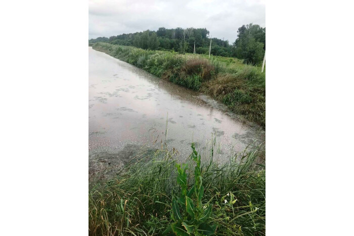 Нові джерела смороду – неподалік від Луцька виявили поля зі зливами Рожищенського сирзаводу