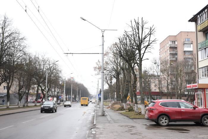 На проспекті Волі проводиться формувальна обрізка зелених насаджень