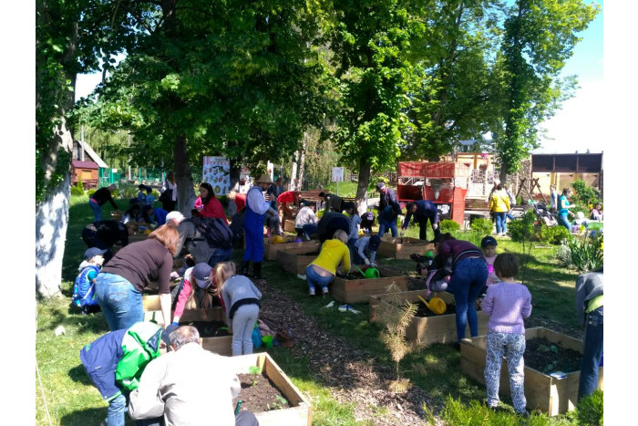 Міське городництво, психологічне здоров’я та сімейне дозвілля у проекті Syngenta