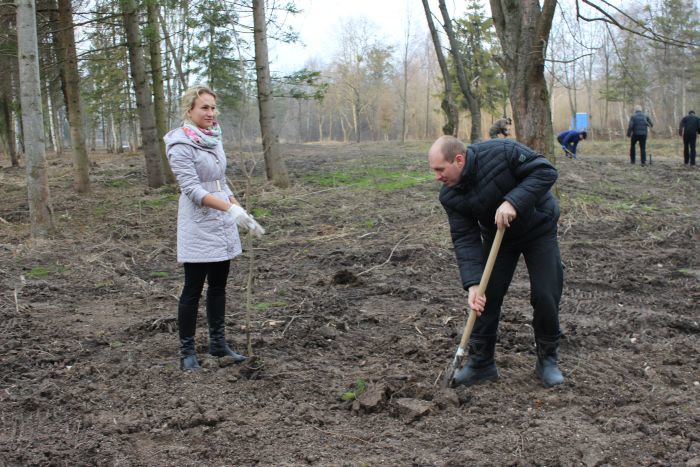 У Центральному парку культури і відпочинку ім. Лесі Українки сьогодні висадили  2, 5 тисячі  молодих дерев