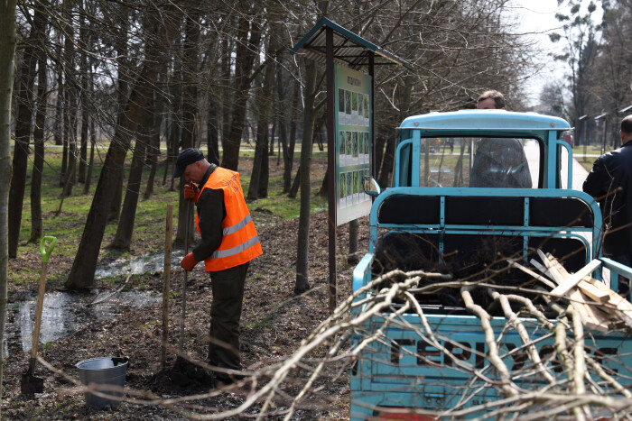 У Центральному парку культури та відпочинку ім. Лесі Українки висадили нові дерева