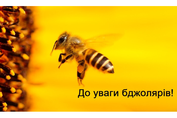 Міністерство аграрної політики та продовольства України запроваджує моніторинг випадків  загибелі бджіл у 2024 році!