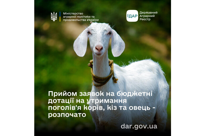 Прийом заявок на бюджетні дотації щодо  утримання поголів’я  корів, кіз та овець - розпочато!